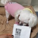 터치드바이뉴질랜드 이미지