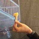 와이비굿즈