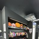 포토그레이신제주점