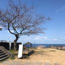 게으른오후 이미지