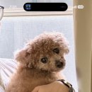 신가네집밥 이미지