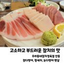 옥동우리정육점 | [안동옥동맛집]고소하고 부드러운 참치 우리동네참치정육점 후기