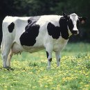 경은농장 이미지