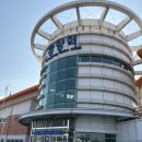 광양시립도서관 본관 | 광양매화축제 가는법 개화시기 개화율 주차장 확인