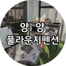 도도프라이빗펜션 | [양양] 풀라운지펜션&amp;글램핑, 개별풀빌라 강원도숙소 양양풀빌라 방문 후기