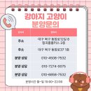 청도펫동물병원 네이버블로그