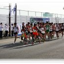 새만금국제마라톤대회, 군산새만금에서 달리다!!