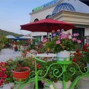 (주)뜰안에 이미지