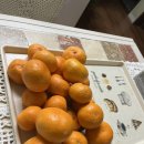 가온누리 게스트하우스 이미지