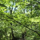 단체 탐방객 - 청록산악회(파주), 산마루산악회(서울) 이미지