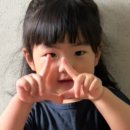 2026 'SiOn's appearance following the time! (9) 이미지