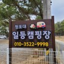 청포대비치캠핑장 | 청포대일등캠핑장 가족과 친구들과 함께하기 딱 좋은 곳