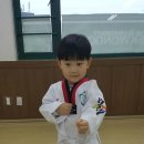 용인대 홍파 태권도 이미지