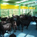 반장농장 이미지