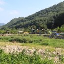 자연이랑 이미지