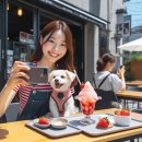 놀이터coffee | 애견카페 강릉 인기매장과 반려견 놀이터 후기