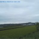 판정천 이미지