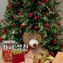 전주 크리스마스 대형 트리 카페 삼천빌리지 크리스마스 데이트 추천