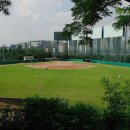 11/14(일) 연습경기 vs고려야구단 이미지