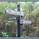 용정사 입구 이미지