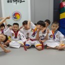 리라태권도 이미지