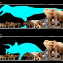 공룡 vs 현생동물 크기 비교 14장.JPG 이미지