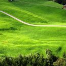 연강농장 이미지