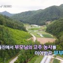 수철농장 이미지