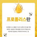우정약품(주) 이미지