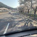 매송공원과 매송중학교 사이 | 남편이랑 봉담IC 타다가 대판 싸우고 차에서 울었어요..." 10년 장롱면허 화성 효행구 방문연수로 광명...