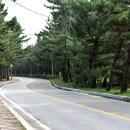 송정해변길 이미지