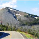 너른초원 이미지