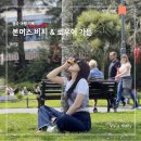 [영국여행]본머스(Bournemouth) 가볼만한 곳! 본머스 비치, 로우어 가든 다녀온 코스 후기!