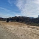 서진부동산공인중개사사무소 이미지