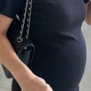 헤이비아