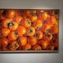 박정순 Daum카페