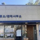 대천해수욕장 국민여가캠핑장(1지구) | 애견동반으로 다녀온 대천해수욕장 국민여가캠핑장 2지구/ 할로윈캠핑