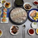 회신물회