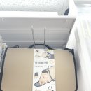 내돈내산 알리 고양이 물품 추천 - 고양이 대형 이동 가방 (다이소 고양이 이동가방 후기를 곁들인..)