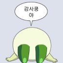 개구리게임장 | 20251230_ 가족들과 제주도 여행🌊💦🌀