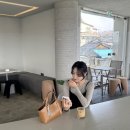 20대 가방 브랜드 추천 오브히ovhee 봄신상 베르토트백 후기