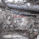 도장포길 이미지