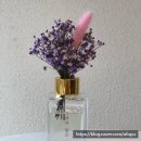 드림모두팜 이미지