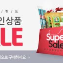 강아지의 품격 이미지
