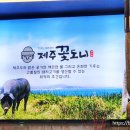 제주꽃도니 이미지