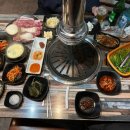꽃돼지갈매기