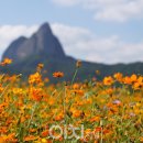 시대공원 이미지