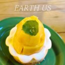 어스케이크 이미지