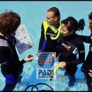 PADI 체험 스쿠버 다이빙 (PADI Discover Scuba Diving) 이미지