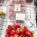 늘픔농장 이미지